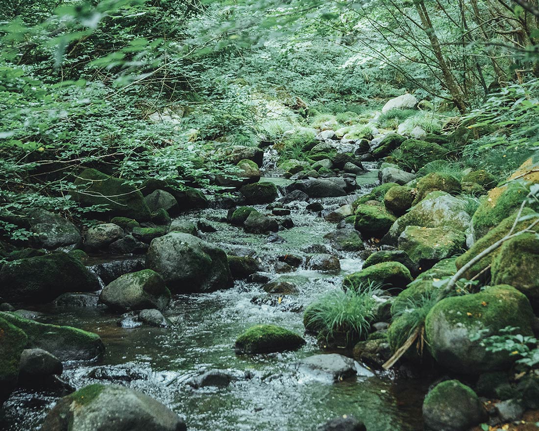 Breathe in deeply.