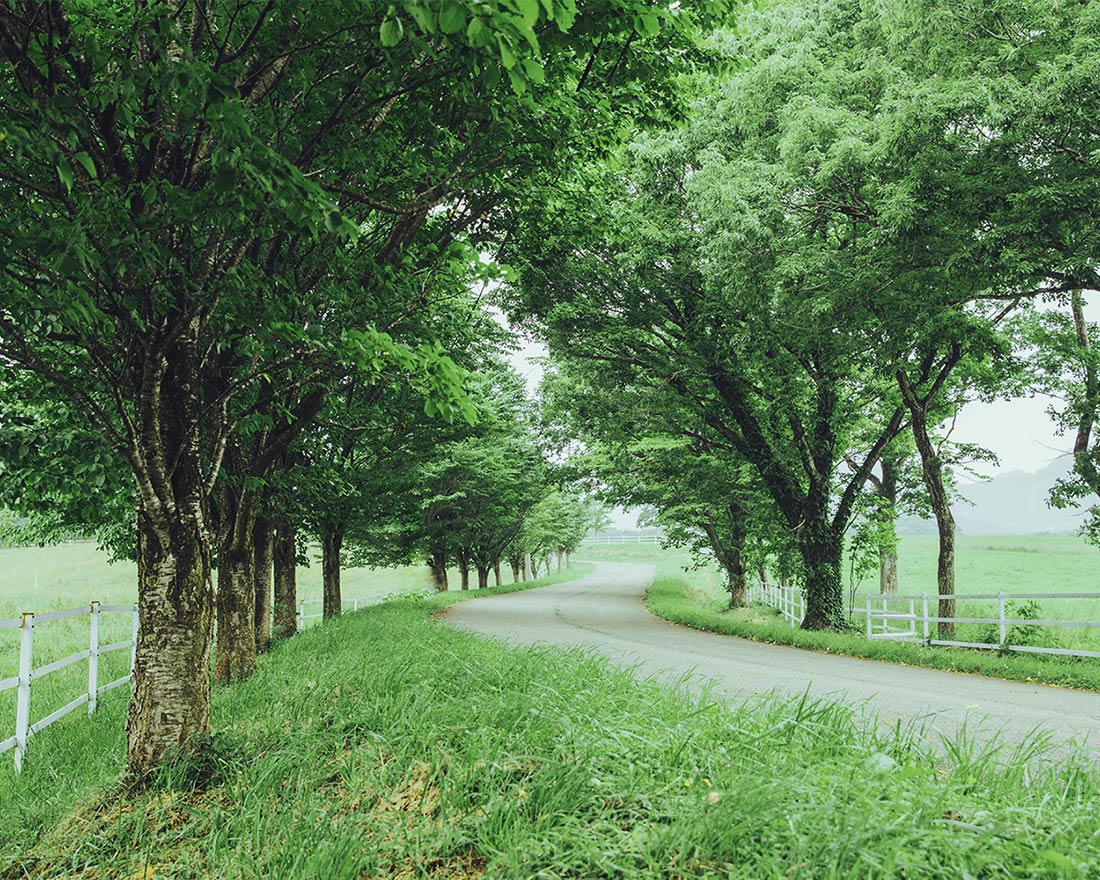 Strolling through pastoral scenery.