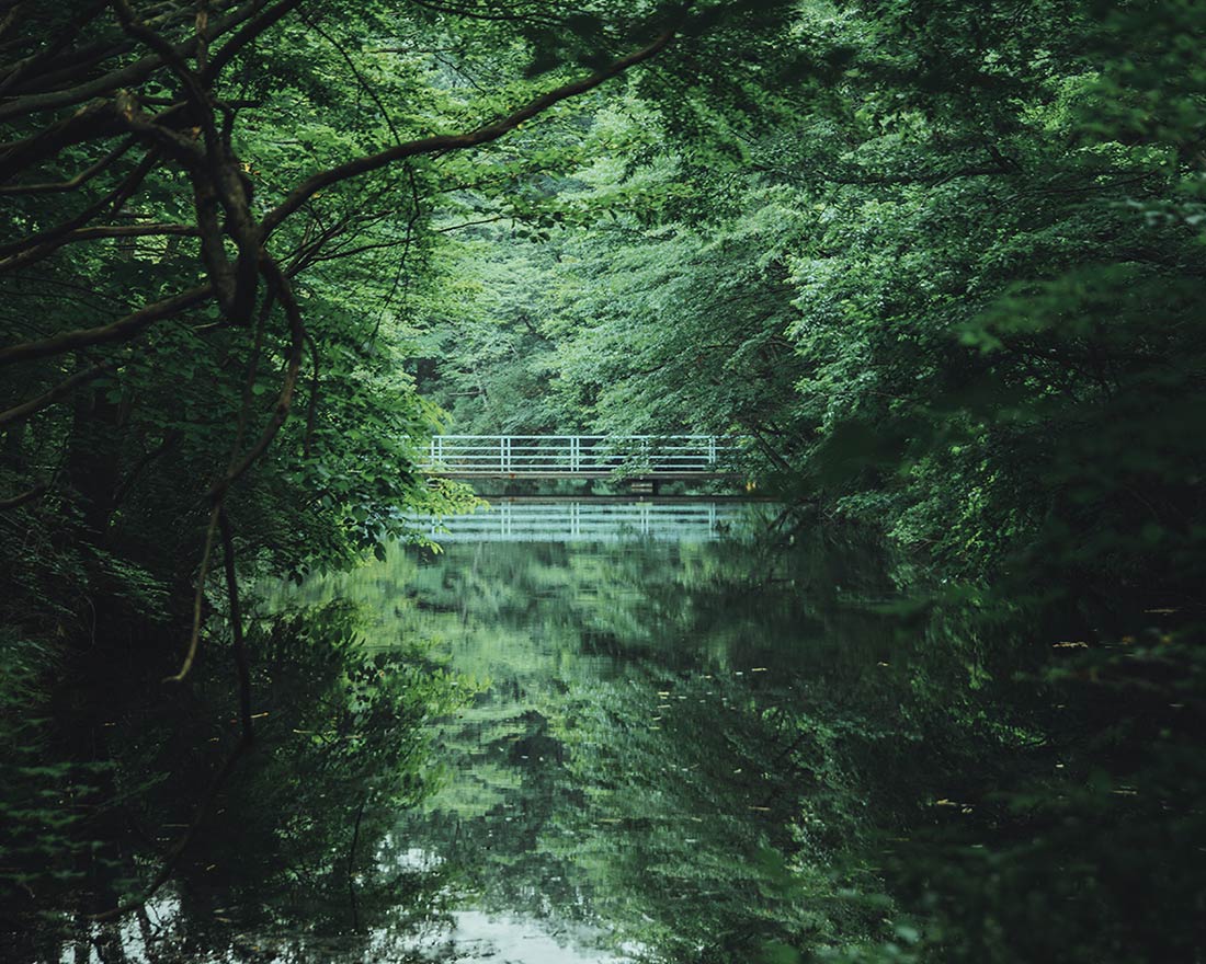 The true essence of tranquility.