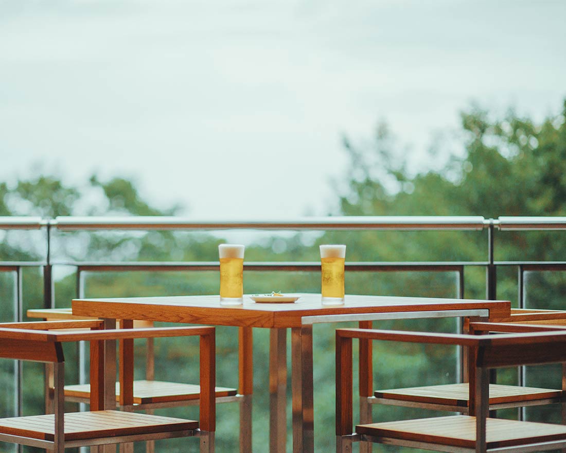 Overlooking the forest from the terrace.